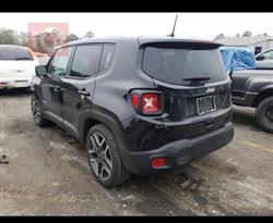 جيب رينيجيد